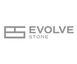evolve stone logo